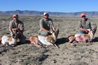 guided pronghorn antelope hunts, wyoming antelope hunts, guided wyoming hunts, antelope hunting wyoming