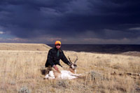 guided pronghorn antelope hunts, wyoming antelope hunts, guided wyoming hunts, antelope hunting wyoming