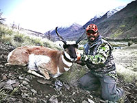 guided pronghorn antelope hunts, wyoming antelope hunts, guided wyoming hunts, antelope hunting wyoming