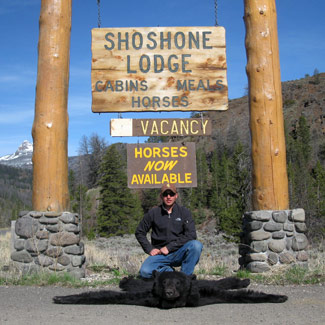 black bear hunts wyoming, guided black bear hunting wyoming, cody wy, yellowstone outfitters