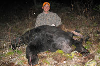 guided black bear hunts wyoming, outfitters cody wy, bear hunting wyoming