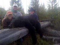 guided black bear hunts wyoming, outfitters cody wy, bear hunting wyoming