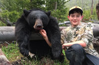 guided black bear hunts wyoming, outfitters cody wy, bear hunting wyoming