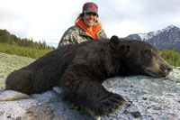guided black bear hunts wyoming, outfitters cody wy, bear hunting wyoming