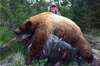 guided black bear hunts wyoming, outfitters cody wy, bear hunting wyoming