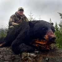 guided black bear hunts wyoming, outfitters cody wy, bear hunting wyoming
