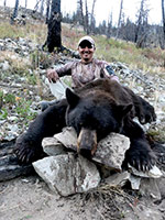 guided black bear hunts wyoming, outfitters cody wy, bear hunting wyoming