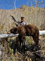 guided black bear hunts wyoming, outfitters cody wy, bear hunting wyoming