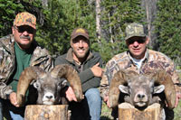 guided big horn sheep hunts, guided sheep hunting wyoming, outfitters wyoming, sheep hunts, ram hunts, hunting big horn sheep rams wy