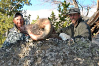 guided big horn sheep hunts, guided sheep hunting wyoming, outfitters wyoming, sheep hunts, ram hunts, hunting big horn sheep rams wy