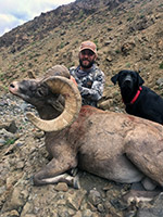 guided big horn sheep hunts, guided sheep hunting wyoming, outfitters wyoming, sheep hunts, ram hunts, hunting big horn sheep rams wy