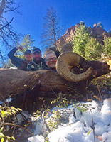 guided big horn sheep hunts, guided sheep hunting wyoming, outfitters wyoming, sheep hunts, ram hunts, hunting big horn sheep rams wy