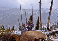 guided big horn sheep hunts, guided sheep hunting wyoming, outfitters wyoming, sheep hunts, ram hunts, hunting big horn sheep rams wy