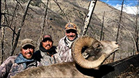 guided big horn sheep hunts, guided sheep hunting wyoming, outfitters wyoming, sheep hunts, ram hunts, hunting big horn sheep rams wy