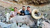 guided big horn sheep hunts, guided sheep hunting wyoming, outfitters wyoming, sheep hunts, ram hunts, hunting big horn sheep rams wy