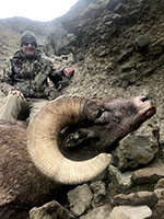 guided big horn sheep hunts, guided sheep hunting wyoming, outfitters wyoming, sheep hunts, ram hunts, hunting big horn sheep rams wy