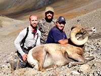 guided big horn sheep hunts, guided sheep hunting wyoming, outfitters wyoming, sheep hunts, ram hunts, hunting big horn sheep rams wy