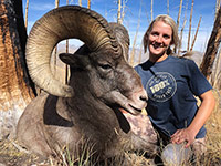 guided big horn sheep hunts, guided sheep hunting wyoming, outfitters wyoming, sheep hunts, ram hunts, hunting big horn sheep rams wy