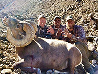 guided big horn sheep hunts, guided sheep hunting wyoming, outfitters wyoming, sheep hunts, ram hunts, hunting big horn sheep rams wy