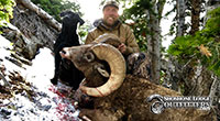 guided big horn sheep hunts, guided sheep hunting wyoming, outfitters wyoming, sheep hunts, ram hunts, hunting big horn sheep rams wy