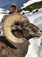 guided big horn sheep hunts, guided sheep hunting wyoming, outfitters wyoming, sheep hunts, ram hunts, hunting big horn sheep rams wy