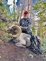 guided big horn sheep hunts, guided sheep hunting wyoming, outfitters wyoming, sheep hunts, ram hunts, hunting big horn sheep rams wy