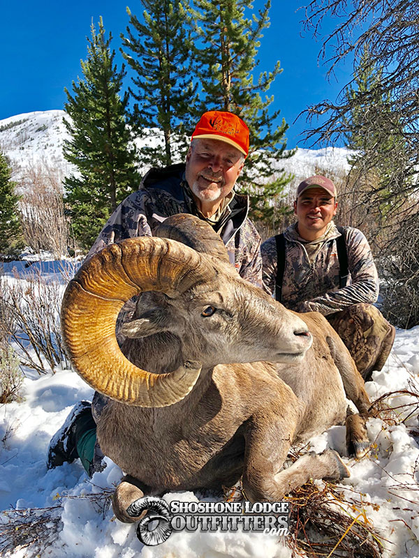 Big Horn Sheep Hunts Wyoming - Ebba Neille