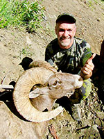 guided big horn sheep hunts, guided sheep hunting wyoming, outfitters wyoming, sheep hunts, ram hunts, hunting big horn sheep rams wy