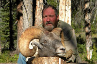 guided big horn sheep hunts, guided sheep hunting wyoming, outfitters wyoming, sheep hunts, ram hunts, hunting big horn sheep rams wy