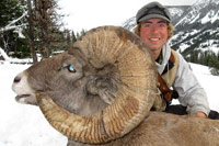 guided big horn sheep hunts, guided sheep hunting wyoming, outfitters wyoming, sheep hunts, ram hunts, hunting big horn sheep rams wy