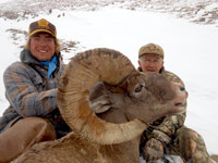 guided big horn sheep hunts, guided sheep hunting wyoming, outfitters wyoming, sheep hunts, ram hunts, hunting big horn sheep rams wy