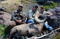 guided big horn sheep hunts, guided sheep hunting wyoming, outfitters wyoming, sheep hunts, ram hunts, hunting big horn sheep rams wy