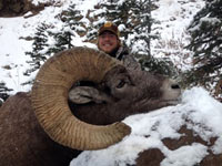 guided big horn sheep hunts, guided sheep hunting wyoming, outfitters wyoming, sheep hunts, ram hunts, hunting big horn sheep rams wy