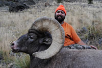 guided big horn sheep hunts, guided sheep hunting wyoming, outfitters wyoming, sheep hunts, ram hunts, hunting big horn sheep rams wy