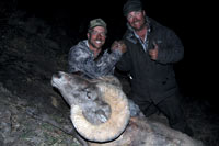 guided big horn sheep hunts, guided sheep hunting wyoming, outfitters wyoming, sheep hunts, ram hunts, hunting big horn sheep rams wy