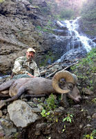 guided big horn sheep hunts, guided sheep hunting wyoming, outfitters wyoming, sheep hunts, ram hunts, hunting big horn sheep rams wy