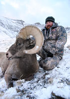 guided big horn sheep hunts, guided sheep hunting wyoming, outfitters wyoming, sheep hunts, ram hunts, hunting big horn sheep rams wy