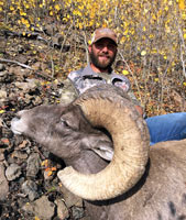 guided big horn sheep hunts, guided sheep hunting wyoming, outfitters wyoming, sheep hunts, ram hunts, hunting big horn sheep rams wy