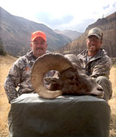 guided big horn sheep hunts, guided sheep hunting wyoming, outfitters wyoming, sheep hunts, ram hunts, hunting big horn sheep rams wy