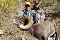 guided big horn sheep hunts, guided sheep hunting wyoming, outfitters wyoming, sheep hunts, ram hunts, hunting big horn sheep rams wy