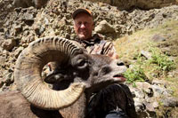 guided big horn sheep hunts, guided sheep hunting wyoming, outfitters wyoming, sheep hunts, ram hunts, hunting big horn sheep rams wy