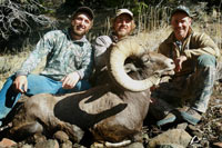 guided big horn sheep hunts, guided sheep hunting wyoming, outfitters wyoming, sheep hunts, ram hunts, hunting big horn sheep rams wy