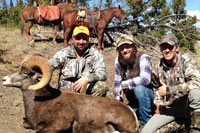 guided big horn sheep hunts, guided sheep hunting wyoming, outfitters wyoming, sheep hunts, ram hunts, hunting big horn sheep rams wy