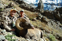 guided big horn sheep hunts, guided sheep hunting wyoming, outfitters wyoming, sheep hunts, ram hunts, hunting big horn sheep rams wy