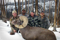 guided big horn sheep hunts, guided sheep hunting wyoming, outfitters wyoming, sheep hunts, ram hunts, hunting big horn sheep rams wy