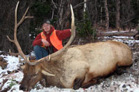 guided elk hunts, wyoming elk hunts, guided wyoming hunts, elk hunting wyoming, bull elk hunts, cow elk hunts, guided bull elk hunts, cody wy