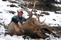 guided elk hunts, wyoming elk hunts, guided wyoming hunts, elk hunting wyoming, bull elk hunts, cow elk hunts, guided bull elk hunts, cody wy