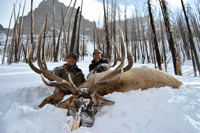 guided elk hunts, wyoming elk hunts, guided wyoming hunts, elk hunting wyoming, bull elk hunts, cow elk hunts, guided bull elk hunts, cody wy