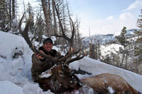 guided elk hunts, wyoming elk hunts, guided wyoming hunts, elk hunting wyoming, bull elk hunts, cow elk hunts, guided bull elk hunts, cody wy