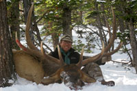 guided elk hunts, wyoming elk hunts, guided wyoming hunts, elk hunting wyoming, bull elk hunts, cow elk hunts, guided bull elk hunts, cody wy